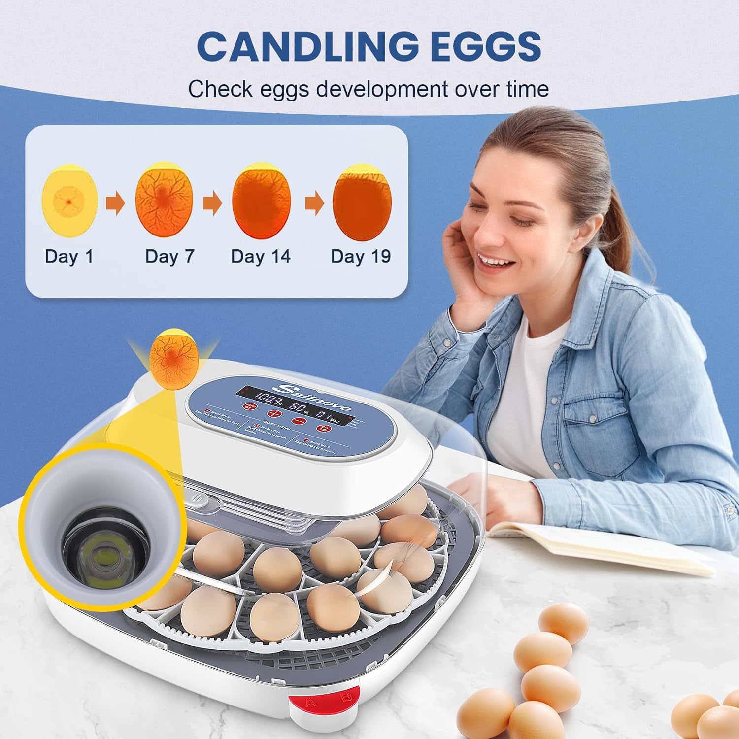 Egg Incubators