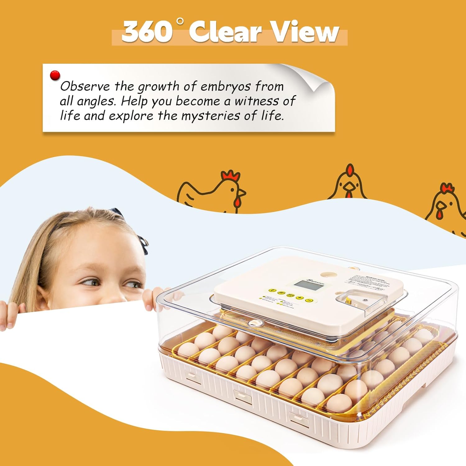 Auto-managed egg incubation control